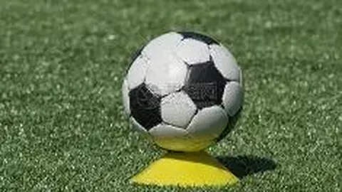 万博manbetx体育平台